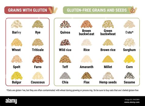 Which grains contain the most gluten